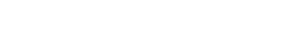 HMN AIDE